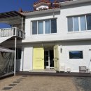 해피 도그 데이 이미지