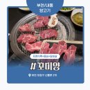 내동-4 | 부천 내동 맛집 ‘꼬미양’ 솔직 후기 – 남편 찬스로 즐기는 4개월 어린 양 스프링램 세트와 진한 보양탕