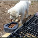 보리수 산장 이미지