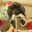 우리단비랑 이미지