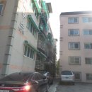 수정-115 이미지