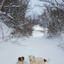 부부국밥 이미지