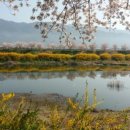 서시천자전거길2 이미지