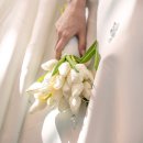 비비호텔 | 더링크 호텔 베일리홀 비마이비비 밝은홀 본식스냅 후기