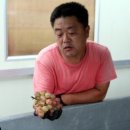 손의개농장 이미지