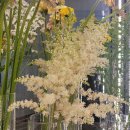 사림동278 | [창원가로수길꽃집] 창원용호동 꽃피우리 꽃다발 후기