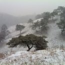 박철희농장 이미지