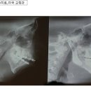 행복한문화공동체연치과의원 이미지