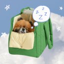 (주)펫츠랜드 | 강아지이동가방 추천 포글 허그백 / 몽모아티 브리오슈백 / 울리 코튼 체크