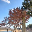 고양컨트리클럽 이미지