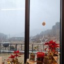 솔마루농장 이미지