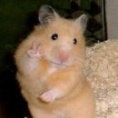 (주)모스트박스 | 이 글을 봤다면 좋은 하루 보내 아니면 뒤져 알았어? ㅡㅡ