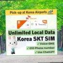 하운드 거제장승포 이미지