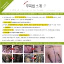 기업은행 동수원지점 앞 | [두피밥 수원점] 수원 두피관리 탈모관리 잘하는곳