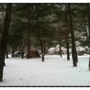 주천스크린골프 | 주문진 - 영월솔밭캠프장