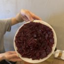 이가뭉티기 이미지