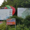 용현우리약국 이미지