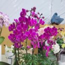 천호대로 213길 이미지