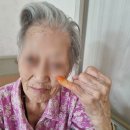 봉숭아물 물들이다 이미지