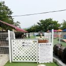 장재로167 | 부산/김해 애견운동장 | 장재로167 : 내돈내산 솔직후기