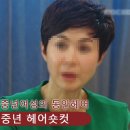 미시헤어샵 - 보령시 | 미시헤어샵