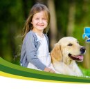 신세계동물의료센터 이미지