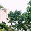 산본로데오거리 이미지