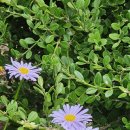 세이당구장 이미지