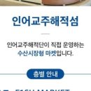 인어교주해적섬 FISH LOUNGE