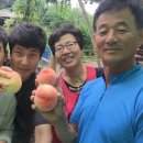 풍원농장 이미지