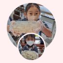 피노키오유아스쿨어린이집 이미지