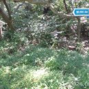 국사봉산성 이미지