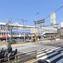 덕천교차로1 이미지