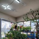 리라약국 이미지