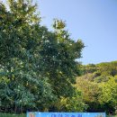 가람태권도장 이미지