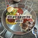냉면가 | [당진 송악] 당진 이주단지 시원한 함흠냉면 맛집 🧊냉면가🥟 내돈내산 리뷰