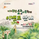 루르드기념의료재단 | 5월 축제, 5월연휴 가볼만한곳: 홍천 산나물축제 실제후기, 주차정보, 이벤트안내, 축제정보