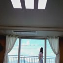 옹포490