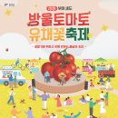 세도농장 티스토리