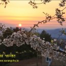 대덕장여관 이미지