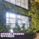 바둑여객 | [청주] 청주공항에서 제주공항까지(주차정보, 안내사항, 이용후기)
