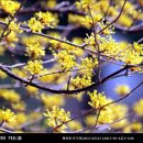 정자천로32번길 이미지