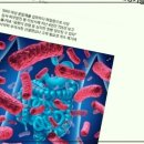 우리성모약국 이미지