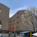 호암중앙1로 44-1, (호암동, 삼익캐슬) 이미지