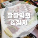 청주 산남동 고등어회 맛집 팔팔막회&amp;참치 Cheongju Sannam-dong Mackerel Raw fish restaurant &#39;Palpal...