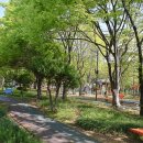 광장16호 이미지