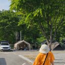 누리파크 | 아퍼서 늦은 후기(장수누리테마파크캠핑장)