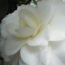 동백빌딩 이미지