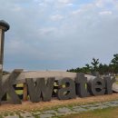 나래애견 이미지