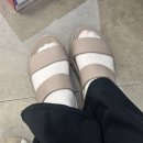 스케쳐스뉴코아아울렛